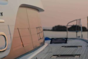 Kingfisher16