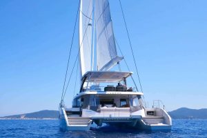 Kingfisher19