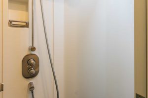 Twin Shower for bath