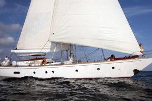 Malizia cruising